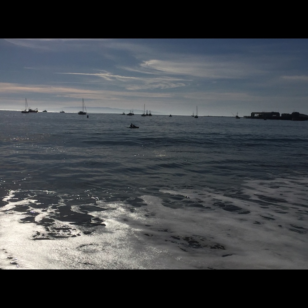 Meet your Posher, Molika